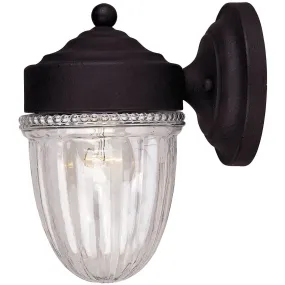 1-Light Outdoor Wall Lantern