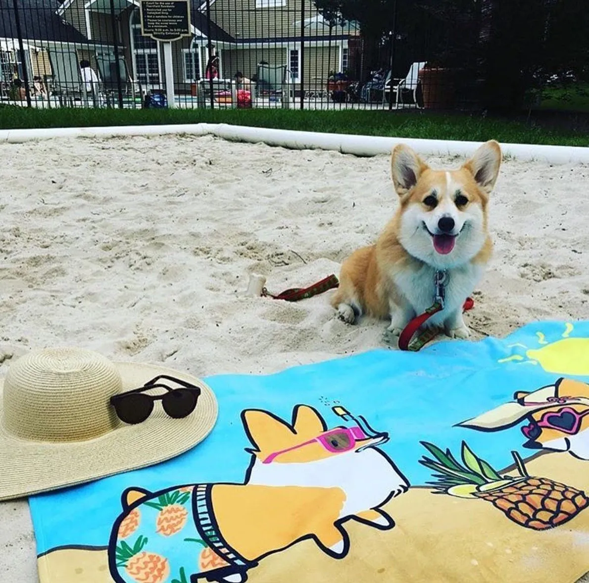 Corgi Beach Party Towel